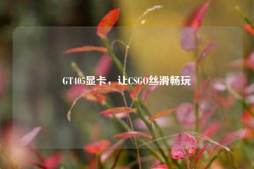 GT405显卡,让CSGO丝滑畅玩