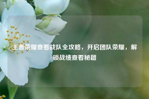 王者荣耀查看战队全攻略,开启团队荣耀,解锁战绩查看秘籍