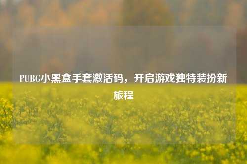 PUBG小黑盒手套激活码,开启游戏独特装扮新旅程