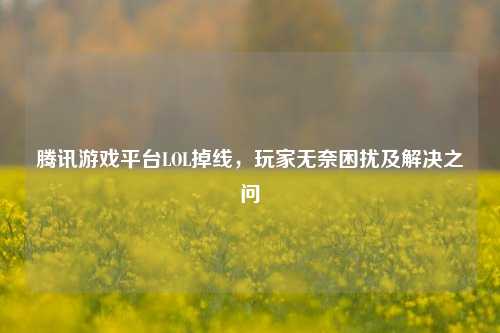 腾讯游戏平台LOL掉线,玩家无奈困扰及解决之问