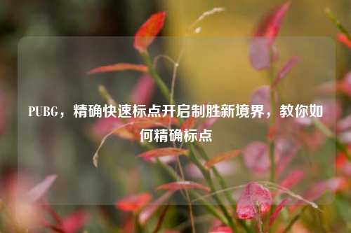 PUBG，精确快速标点开启制胜新境界，教你如何精确标点