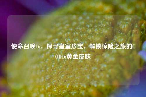 使命召唤16,探寻皇室珍宝,解锁惊险之旅的COD16黄金皮肤