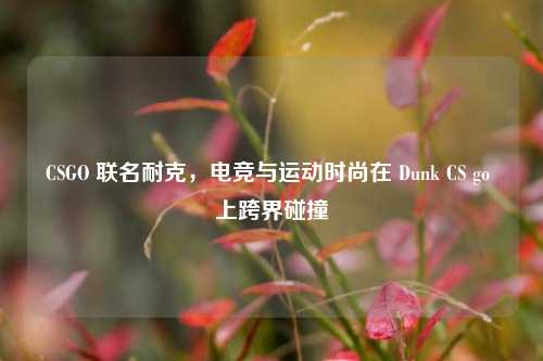 CSGO 联名耐克，电竞与运动时尚在 Dunk CS go 上跨界碰撞