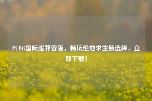 PUBG国际服兼容版,畅玩绝地求生新选择,立即下载!