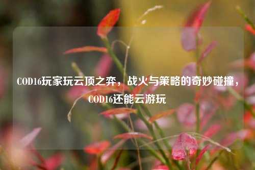 COD16玩家玩云顶之弈，战火与策略的奇妙碰撞，COD16还能云游玩