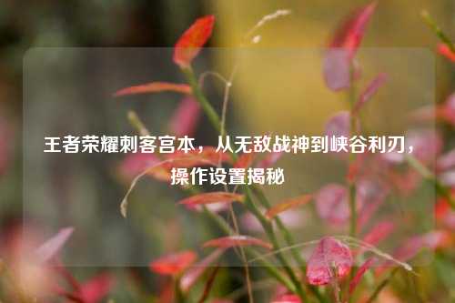 王者荣耀刺客宫本，从无敌战神到峡谷利刃，操作设置揭秘