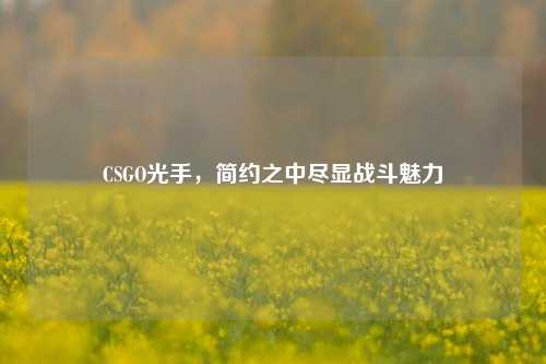 CSGO光手,简约之中尽显战斗魅力