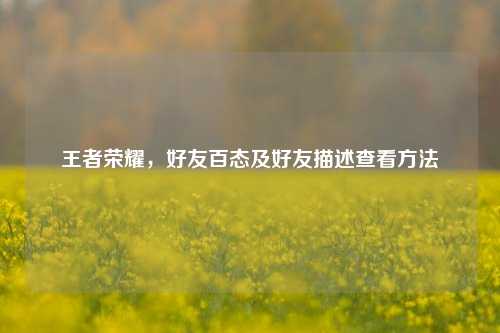 王者荣耀，好友百态及好友描述查看方法