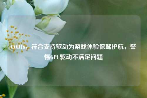 COD16,符合支持驱动为游戏体验保驾护航,警惕GPU驱动不满足问题