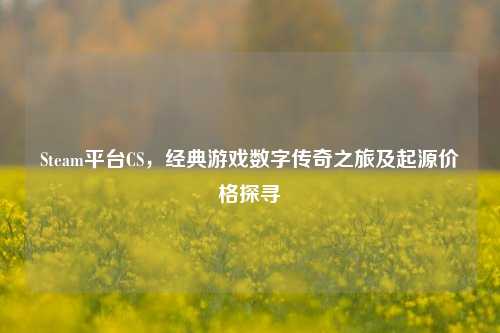 Steam平台CS,经典游戏数字传奇之旅及起源价格探寻
