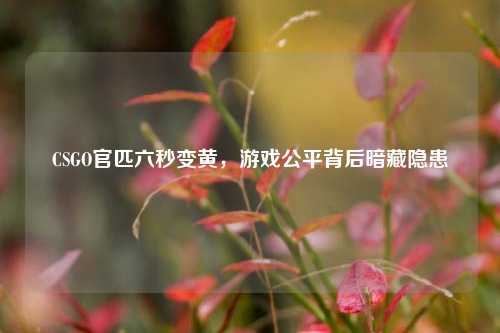 CSGO官匹六秒变黄,游戏公平背后暗藏隐患