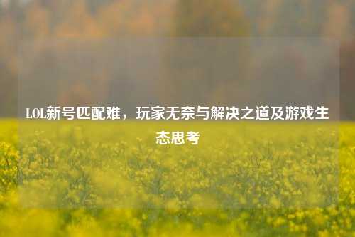 LOL新号匹配难，玩家无奈与解决之道及游戏生态思考