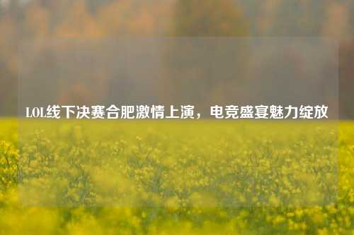 LOL线下决赛合肥激情上演,电竞盛宴魅力绽放