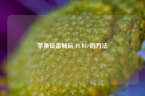 苹果设备畅玩 PUBG 的方法