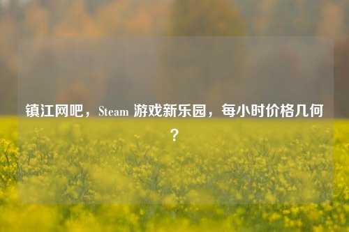 镇江网吧,Steam 游戏新乐园,每小时价格几何?