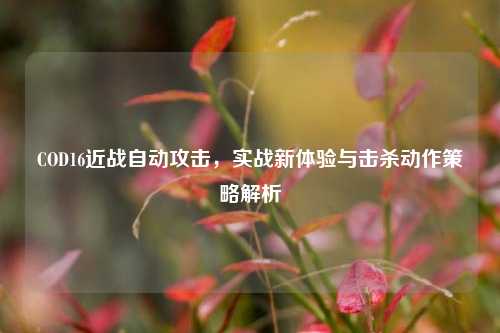 COD16近战自动攻击,实战新体验与击杀动作策略解析