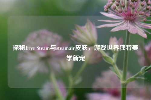 探秘Eryc Steam与steamair皮肤,游戏世界独特美学新宠