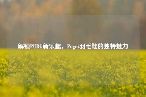 解锁PUBG新乐趣，Pugui羽毛鞋的独特魅力