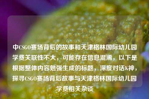 中CSGO赛场背后的故事和天津格林国际幼儿园学费关联性不大,可能存在信息混淆,以下是根据整体内容勉强生成的标题,深度对话K神,探寻CSGO赛场背后故事与天津格林国际幼儿园学费相关杂谈