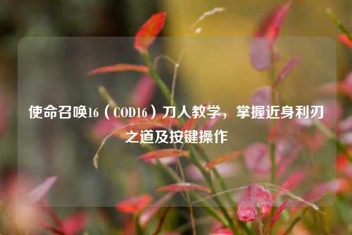 使命召唤16(COD16)刀人教学,掌握近身利刃之道及按键操作