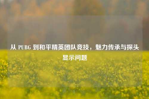 从 PUBG 到和平精英团队竞技,魅力传承与探头显示问题