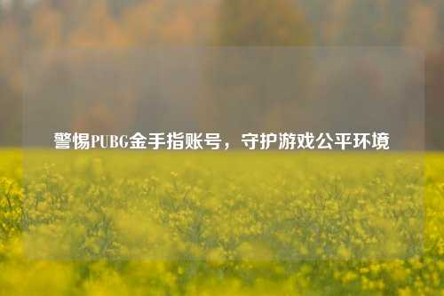 警惕PUBG金手指账号,守护游戏公平环境