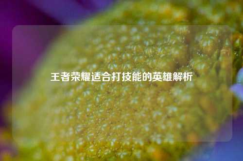 王者荣耀适合打技能的英雄解析