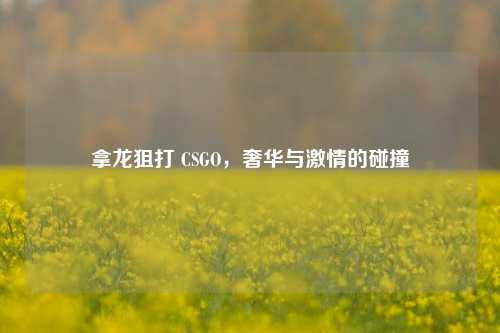 拿龙狙打 CSGO,奢华与激情的碰撞