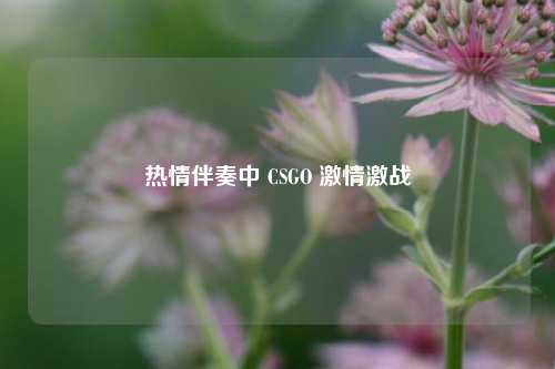 热情伴奏中 CSGO 激情激战