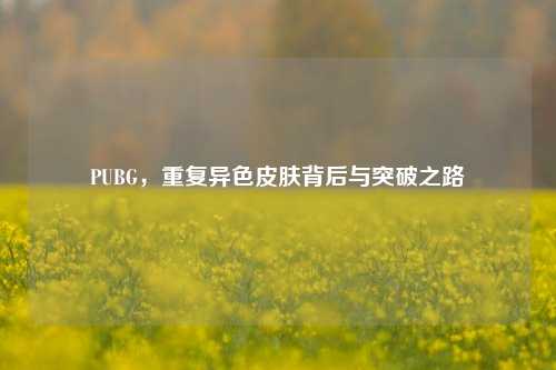 PUBG,重复异色皮肤背后与突破之路