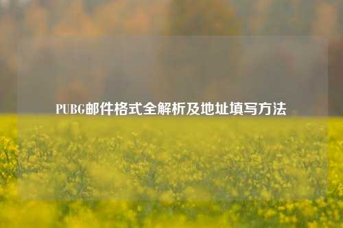 PUBG邮件格式全解析及地址填写方法