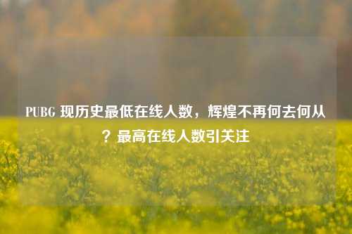 PUBG 现历史最低在线人数,辉煌不再何去何从?最高在线人数引关注