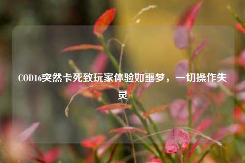 COD16突然卡死致玩家体验如噩梦,一切操作失灵