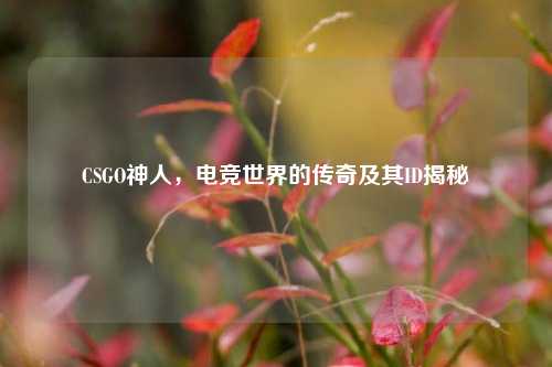 CSGO神人,电竞世界的传奇及其ID揭秘