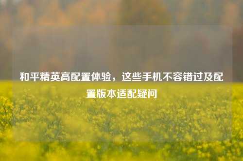和平精英高配置体验,这些手机不容错过及配置版本适配疑问
