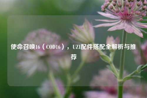 使命召唤16(COD16),UZI配件搭配全解析与推荐