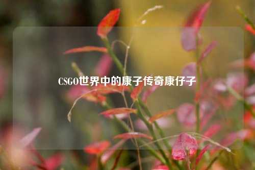 CSGO世界中的康子传奇康仔子