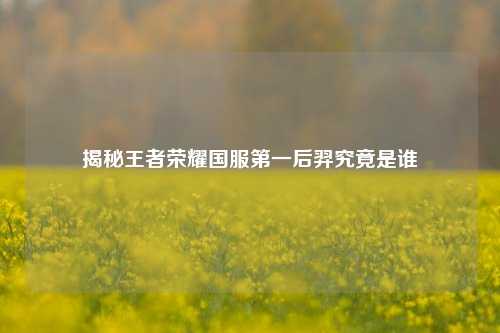 揭秘王者荣耀国服第一后羿究竟是谁