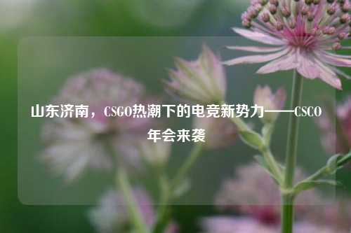 山东济南，CSGO热潮下的电竞新势力——CSCO年会来袭