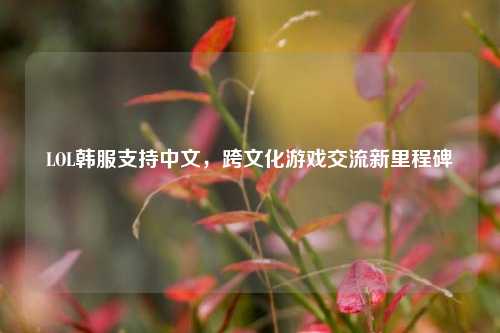 LOL韩服支持中文,跨文化游戏交流新里程碑