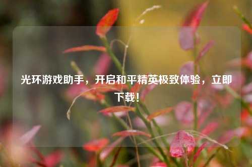 光环游戏助手，开启和平精英极致体验，立即下载！