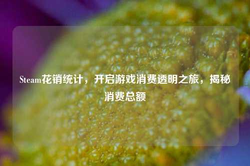 Steam花销统计,开启游戏消费透明之旅,揭秘消费总额