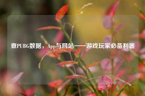 查PUBG数据，App与网站——游戏玩家必备利器