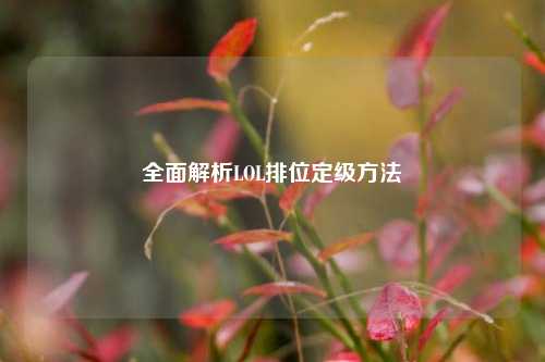 全面解析LOL排位定级方法