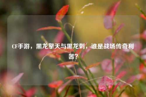 CF手游,黑龙擎天与黑龙刺,谁是战场传奇利器?