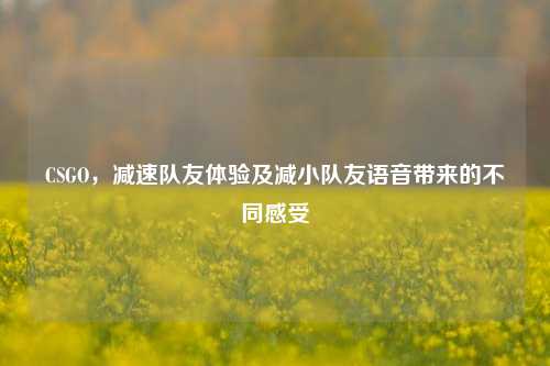 CSGO,减速队友体验及减小队友语音带来的不同感受