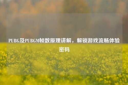 PUBG及PUBGM帧数原理讲解,解锁游戏流畅体验密码