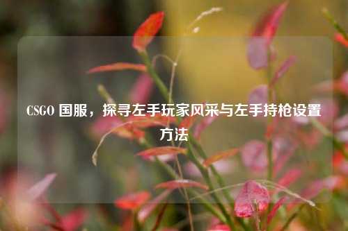CSGO 国服,探寻左手玩家风采与左手持枪设置方法