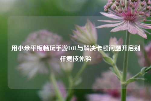 用小米平板畅玩手游LOL与解决卡顿问题开启别样竞技体验