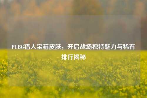 PUBG猎人宝箱皮肤,开启战场独特魅力与稀有排行揭秘